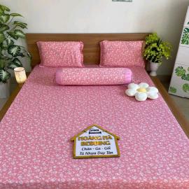 Bộ Ga Thun Mẫu Lá Nhí Hồng